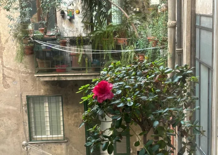 Art Lab Oda ve Kahvaltı 4*